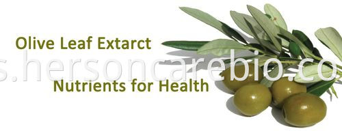 Olive Leaf Extract